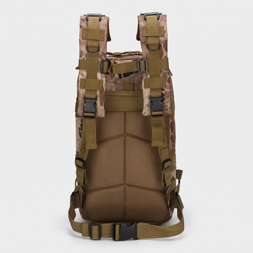Back view showing padded mesh back panel, shoulder straps, sternum strap and waist strap