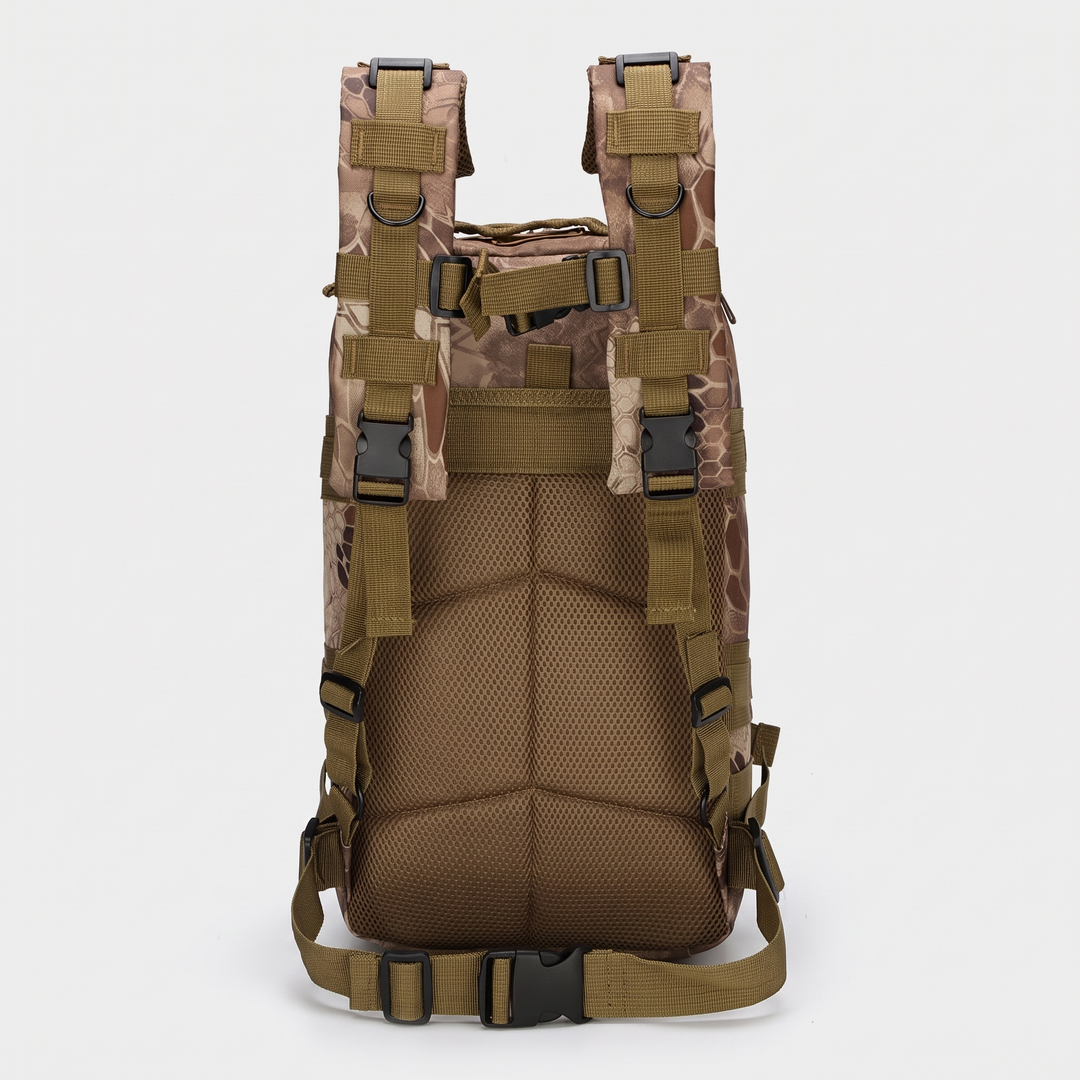Back view showing padded mesh back panel, shoulder straps, sternum strap and waist strap