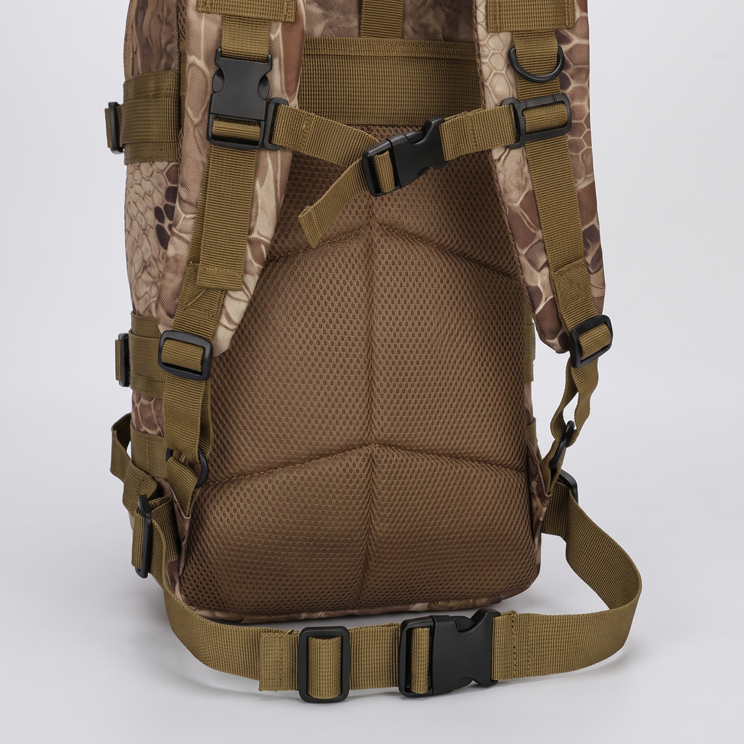 Close-up of the padded mesh back panel, sternum strap and waist strap