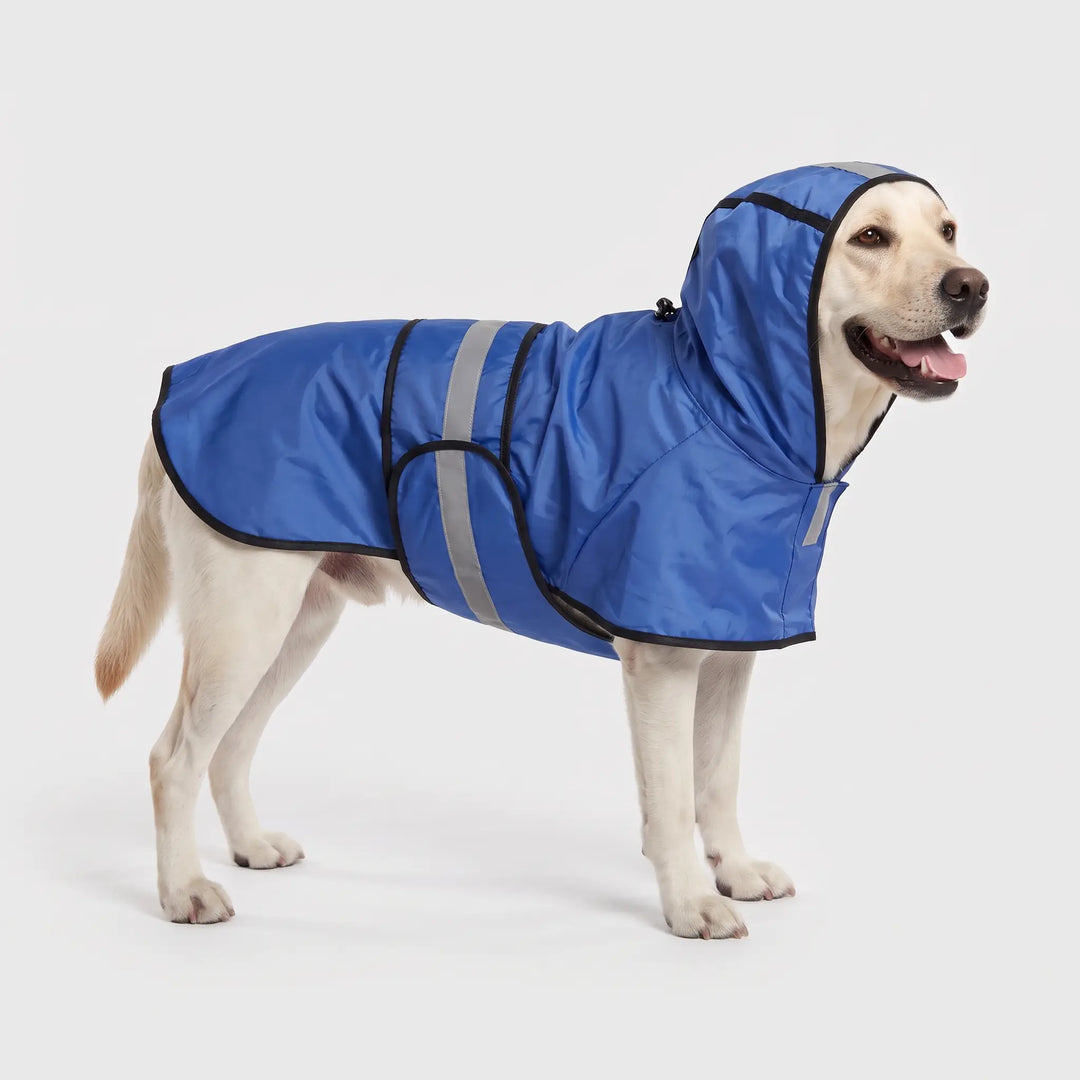 Hooded dog raincoat in Blue on a Labrador, side view