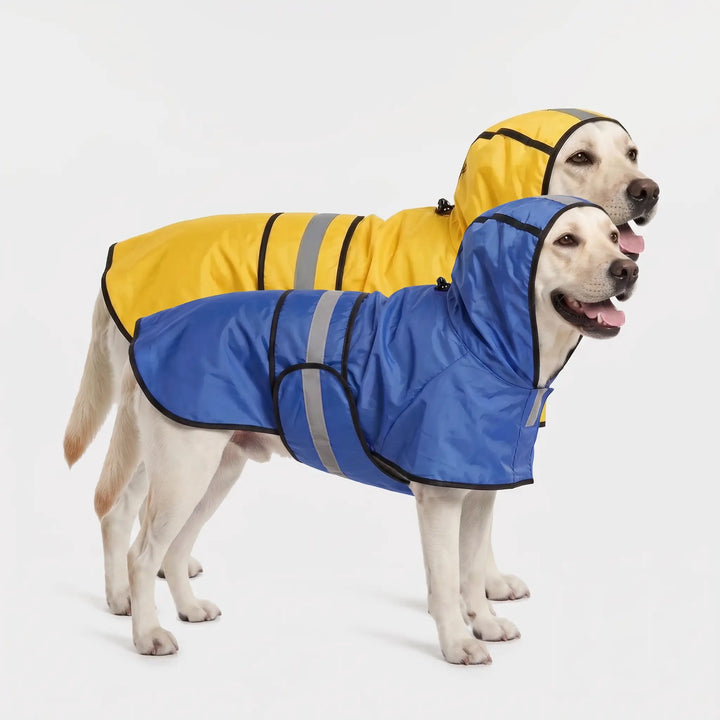 Hooded dog raincoat in Blue and Yellow on two Labradors