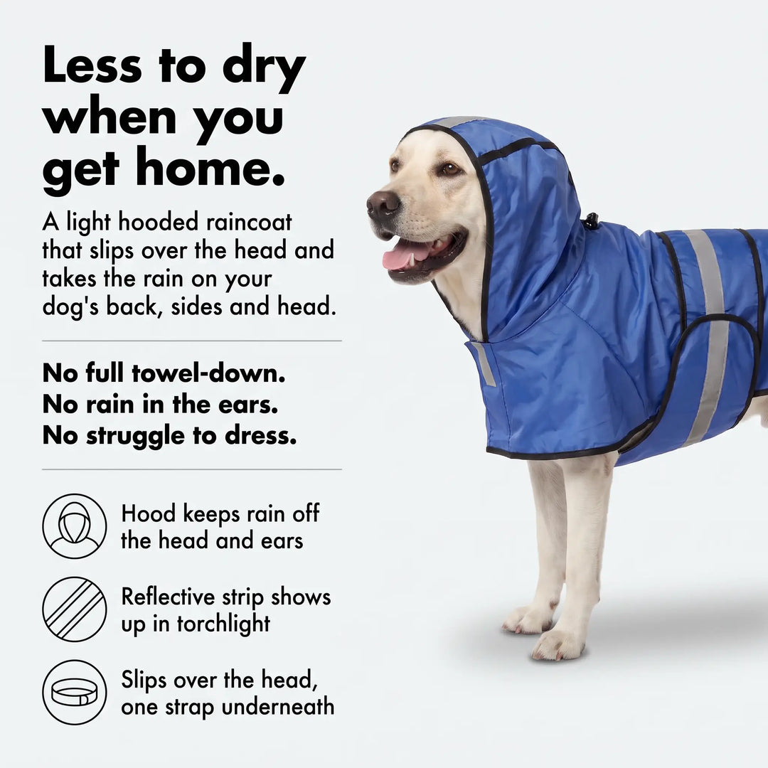 Dog raincoat infographic: less to dry when you get home, hood, reflective strip and one strap