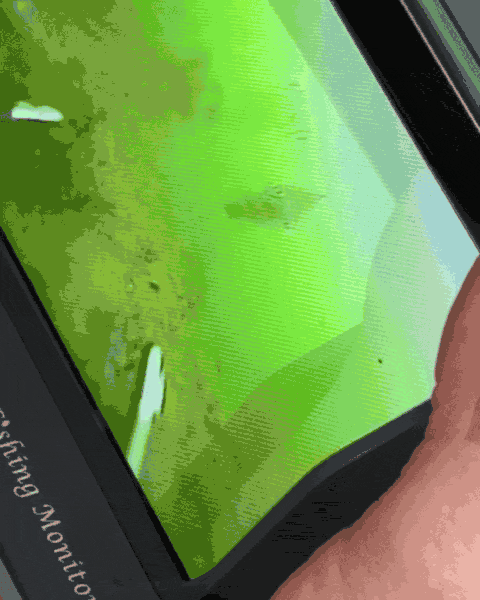 Clear picture, even in murky water