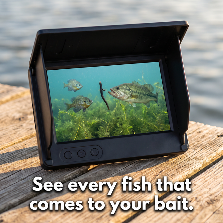 Underwater fish camera screen showing a bass and bluegill around a worm