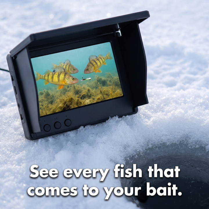 Underwater fishing camera screen showing perch around a jig beside an ice hole